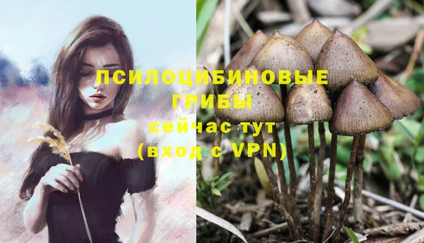 марихуана Баксан