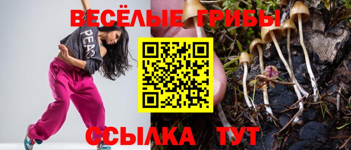 Краснокаменск  Галлюциногенные грибы GOLDEN TEACHER  Вход с VPN 