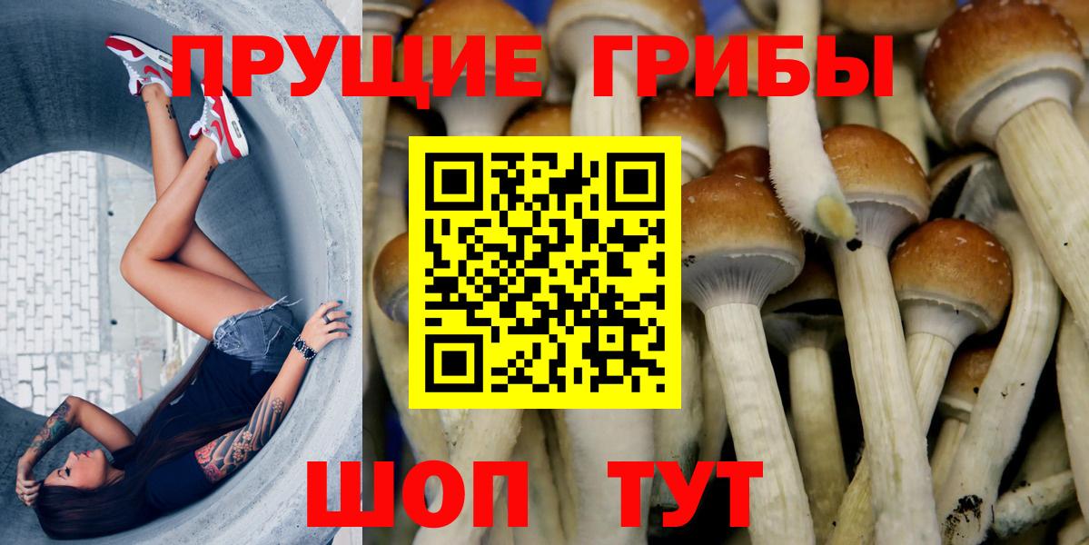 Псилоцибиновые грибы MAGIC MUSHROOMS Краснокаменск